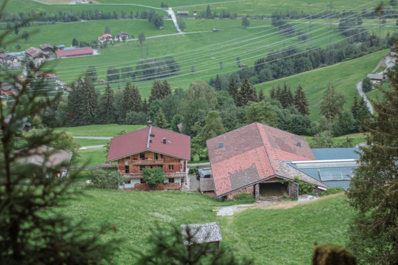 Unterholzhof Villa Piesendorf Exterior photo