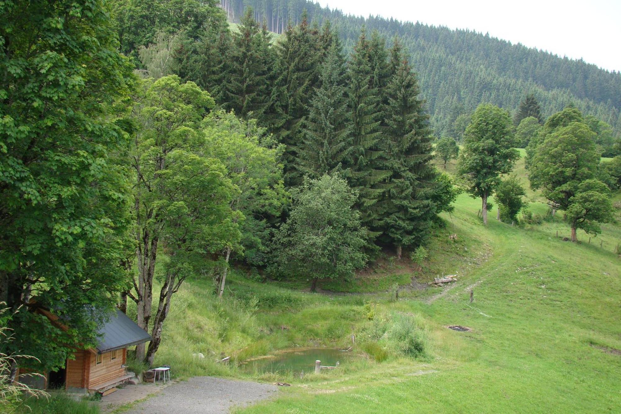 Unterholzhof Villa Piesendorf Exterior photo